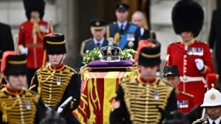 First public mourners view queen at rest after hushed procession