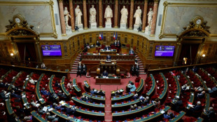 Pouvoir d'achat: le Sénat entre dans le vif du sujet 