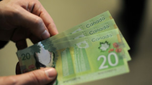 Canada central bank pauses rate hikes, holds at 4.5%