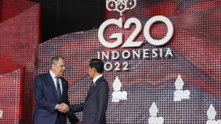 Les Occidentaux cherchent à unir le G20 contre la Russie de Poutine