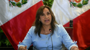 Peru prosecutors probe president over alleged money laundering