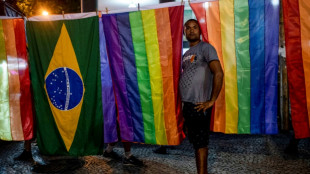 Brazil high court rules homophobia punishable by prison