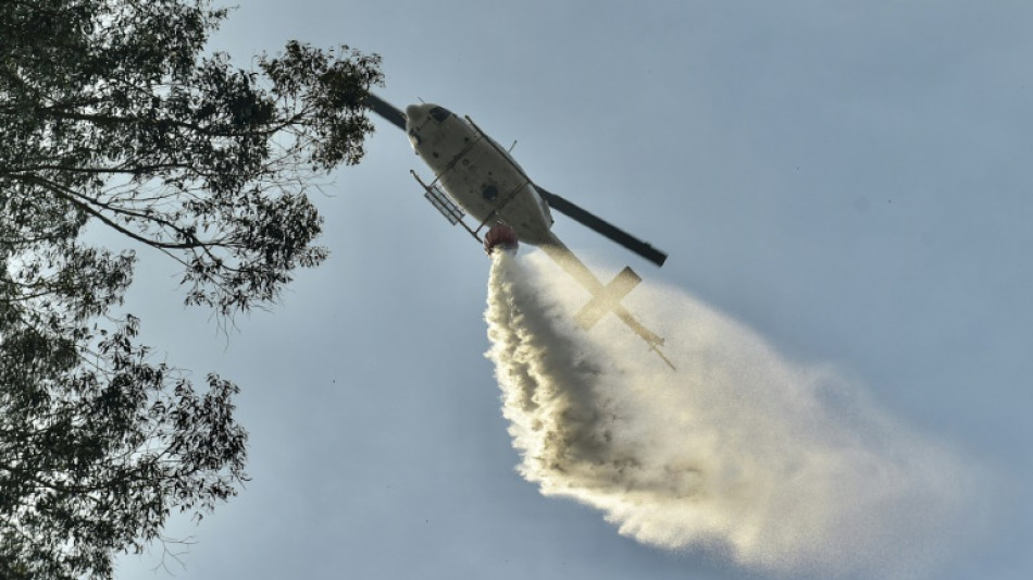 Incendios vuelven a amenazar zonas pobladas del sur en Chile