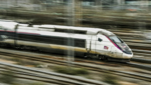 La SNCF se dit victime d'"une attaque massive pour paralyser le réseau" TGV 