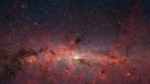 Object found in the Milky Way 'unlike anything astronomers have seen'