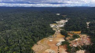 Brazil moves on illegal mines in Indigenous Yanomami territory