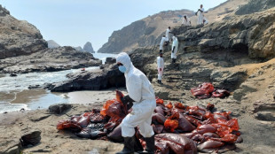 Traditional fishermen in despair over Peru oil spill