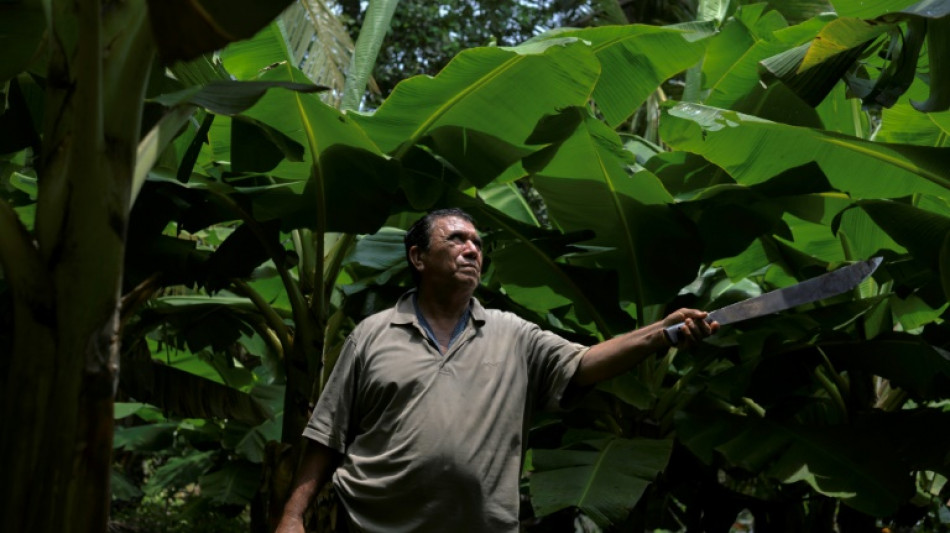 Maladies, stérilité, impunité: le legs d'un pesticide au Nicaragua