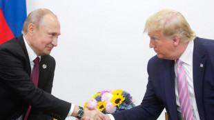 Cremlino, per ora non ci sono piani incontro Putin-Trump