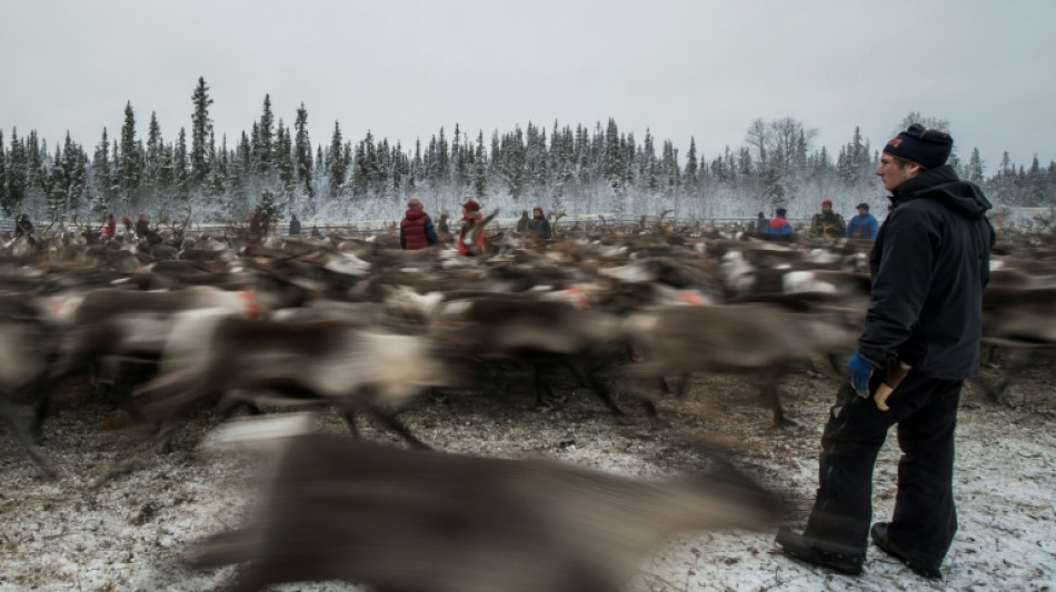 Sweden's 'Truth Commission' delves into painful Sami past