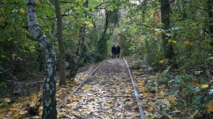 Neben dem Holzbock verbreiten sich auch andere Zeckenarten in Deutschland