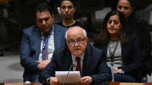 Palestinos esperam aprovação como membro pleno da ONU