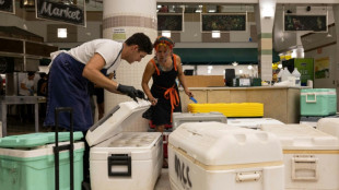 Hawaii star chefs mount massive operation to feed fire survivors