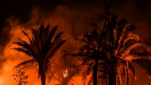 Peor día de incendios en la Amazonía brasileña en 15 años
