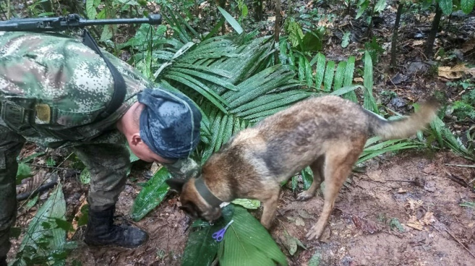 Four kids, including baby, found alive in Amazon after plane crash