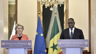La UE promete más de 171.000 millones de dólares en inversiones en África