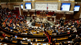 French lawmakers pressure government to seize Russian assets