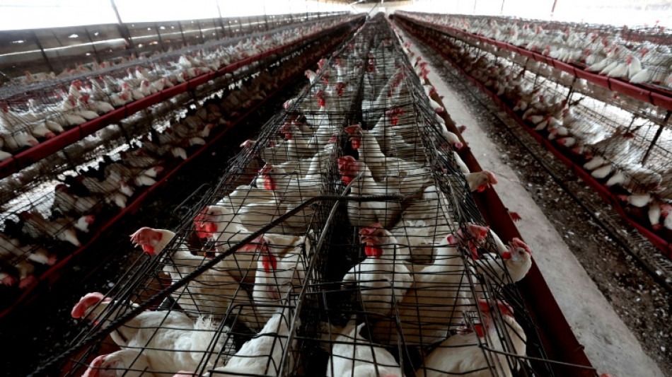 México investiga aún la causa de la muerte de un hombre con gripe aviar H5N2