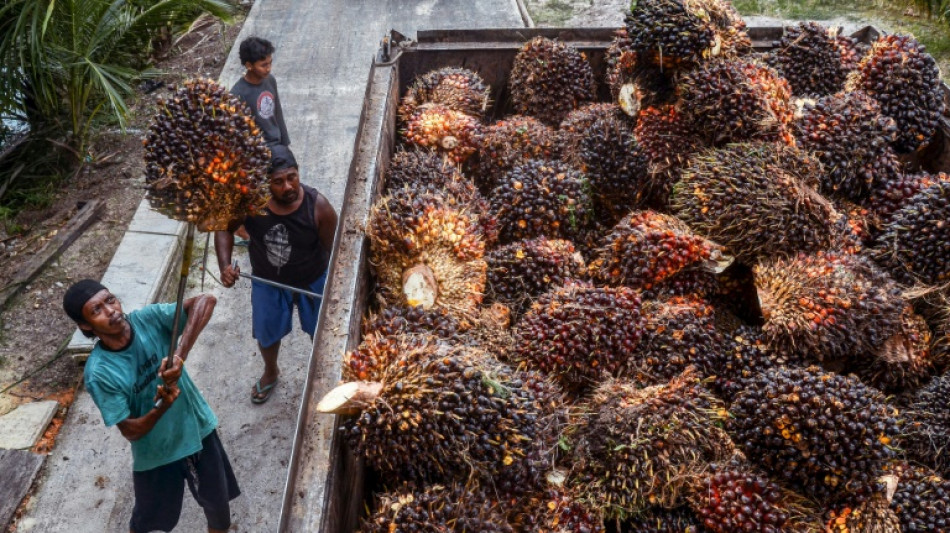 Indonesia to lift ban on palm oil exports from Monday