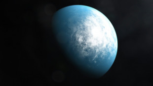 Nearby exoplanet could be first known ocean world: Webb telescope