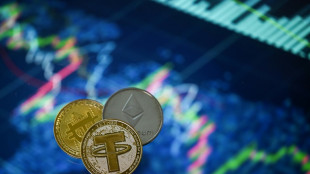 Le bitcoin perd ses gains de 2022 et passe sous 30.000 dollars