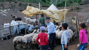 Dans l'est de la Turquie, la vallée des bergers afghans