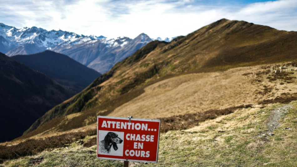 Le gouvernement écarte finalement l'idée d'une journée sans chasse 