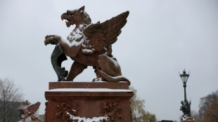 El sur de Alemania, parcialmente paralizado por las fuertes nevadas