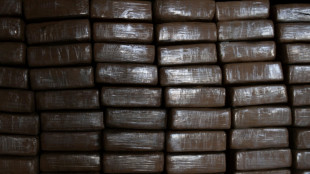 Confiscan en España 620 kilos de cocaína mezclada con sal llegados de Colombia