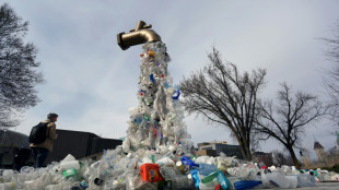 US-Regierung will Einwegplastik bis 2035 aus Bundesbehörden verbannen