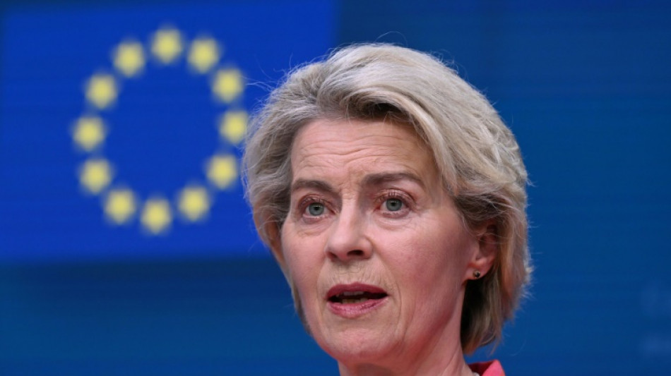 El Parlamento Europeo votará el 18 de julio si aprueba un nuevo mandato de Ursula von der Leyen