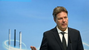 Habeck hält Gasversorgung in Deutschland in Ukraine-Krise für gesichert