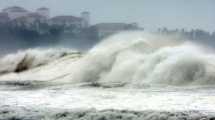 Typhoon kills one, leaves several missing in South Korea