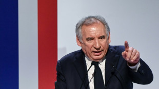 Bayrou: Macron's longtime comrade facing biggest challenge
