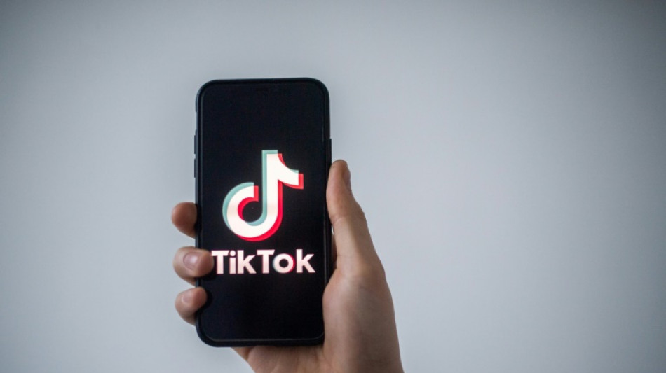 TikTok seeks 'partner' in Europe to offer security reassurances