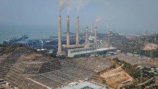 Südostasien: Verbrauch von Kohle Indonesiens und der Philippinen steigt