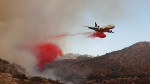 Los Angeles, uno degli incendi causato da guasto elettrico