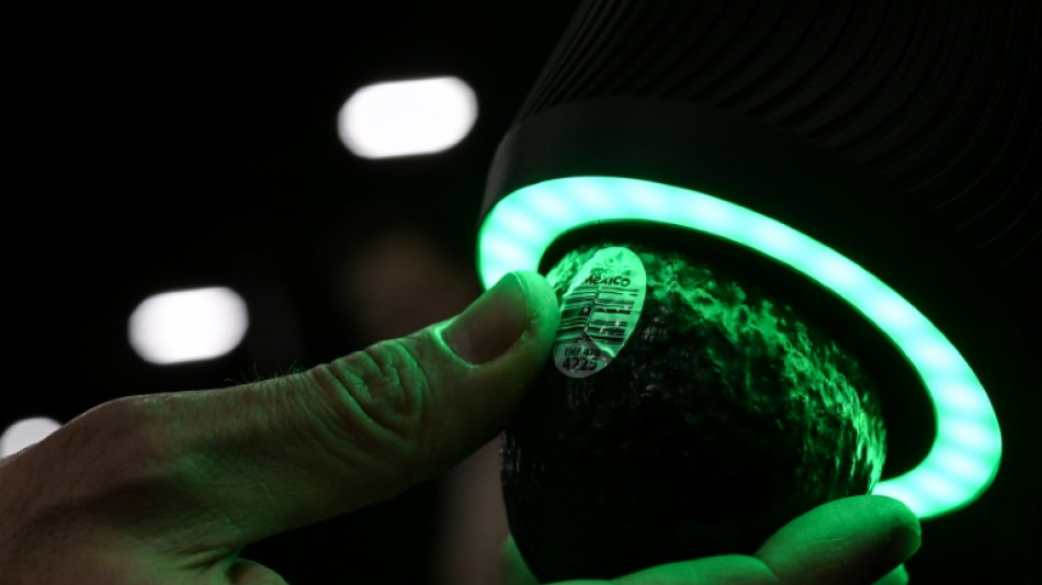 Scanners for avocados and your brain: Highlights from CES 2023