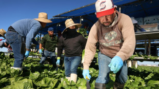 En Californie, les menaces d'expulsions de Trump font trembler les travailleurs agricoles