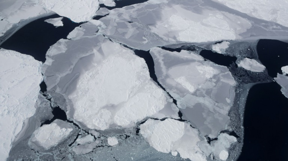 Des scientifiques alertent sur le danger d'un réchauffement climatique qui s'auto-alimente