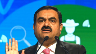 Adani shares dive again as Indian opposition stages demos