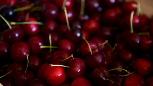 Furious French cherry farmers protest over insecticide ban 