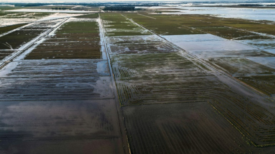 Brazil drops rice tariffs after flooding hits key farming region