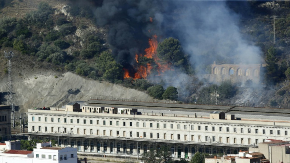 Dozens evacuated as wildfire spreads on Spain-France border