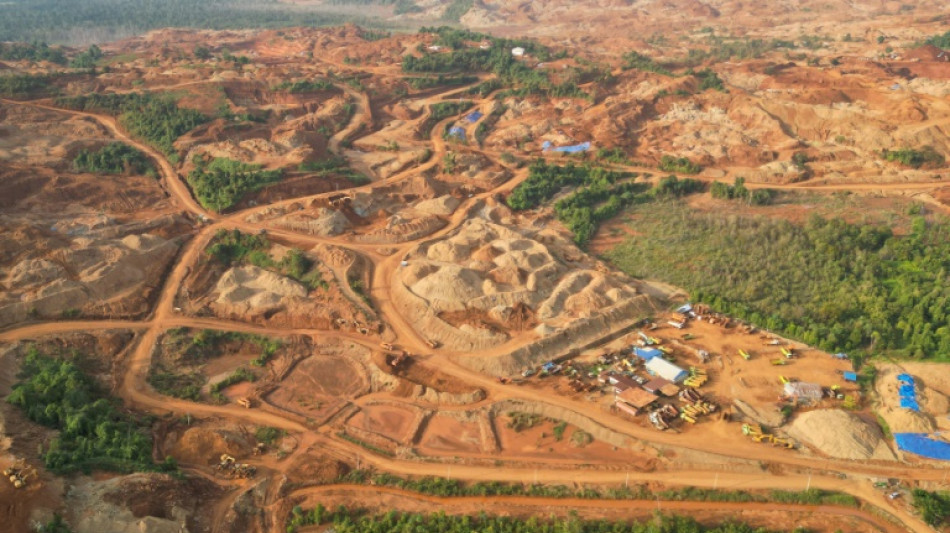 Satelliten-Analyse: Riesige Waldflächen in Indonesien für den Bergbau gerordet