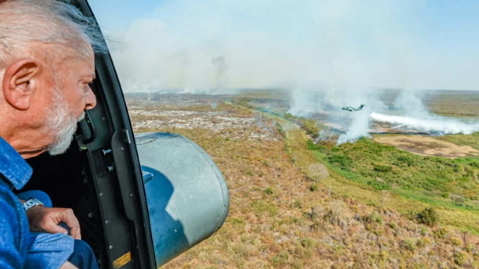 Report links meatpacking companies to 'war on nature' in Brazil