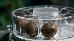 100% compostable coffee balls bid to take on Nespresso