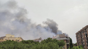 Incendio di sterpaglie a Roma, evacuata facoltà a Tor Vergata