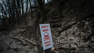 Poland, Baltics signal plans to withdraw from landmines treaty