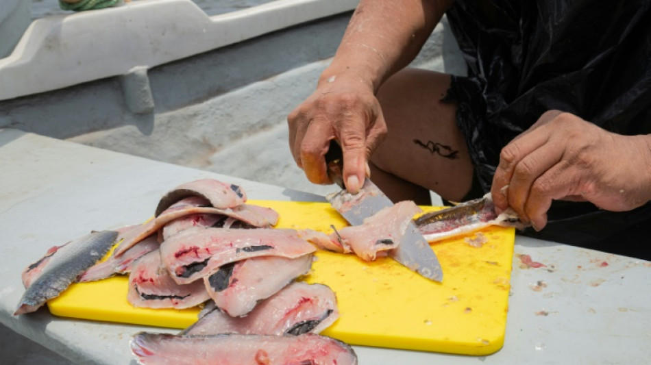 Ceviche e bolero aspiram a entrar no patrimônio imaterial da Unesco